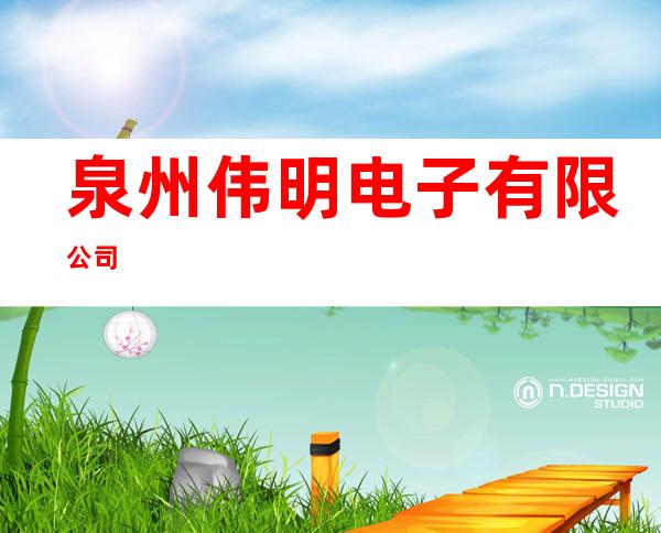 泉州伟明电子有限公司