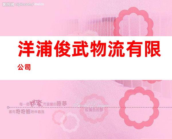 洋浦俊武物流有限公司