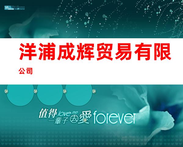洋浦成辉贸易有限公司