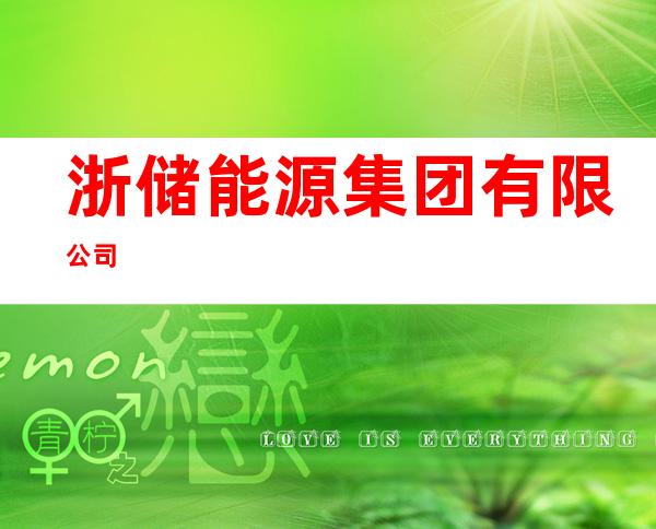 浙储能源集团有限公司