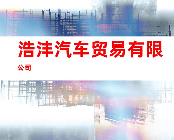 浩沣汽车贸易有限公司
