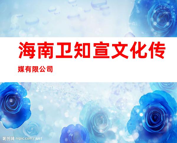 海南卫知宣文化传媒有限公司