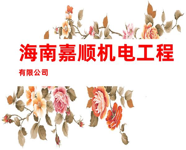 海南嘉顺机电工程有限公司