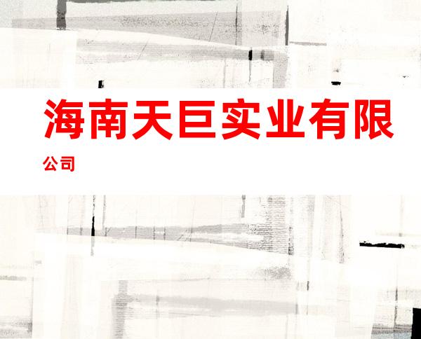 海南天巨实业有限公司