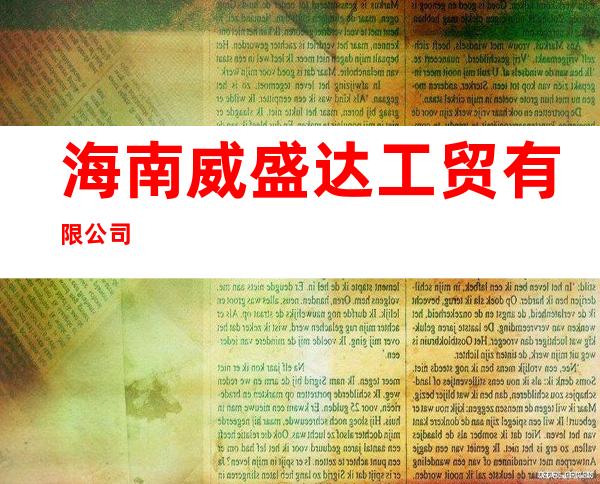 海南威盛达工贸有限公司