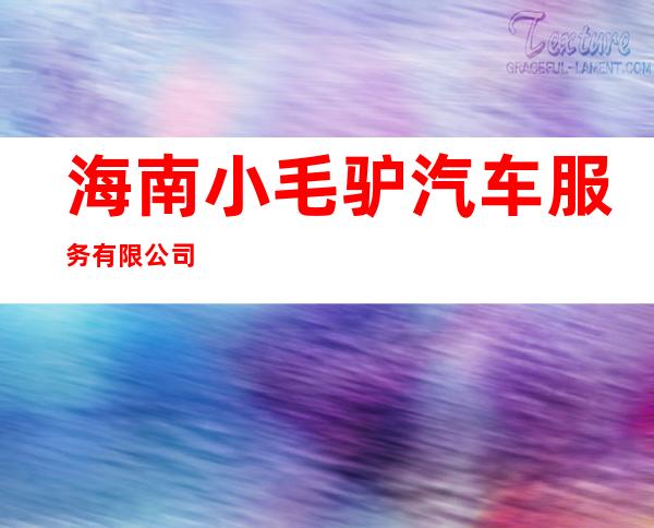 海南小毛驴汽车服务有限公司
