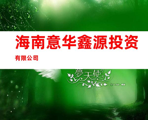 海南意华鑫源投资有限公司