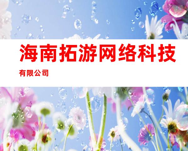 海南拓游网络科技有限公司