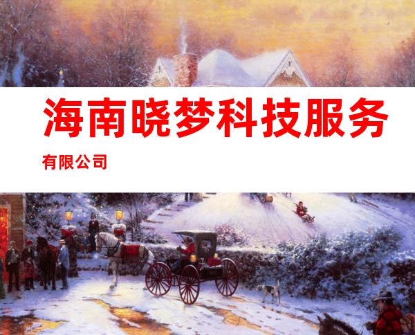 海南晓梦科技服务有限公司
