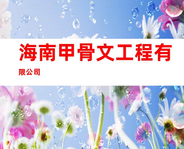 海南甲骨文工程有限公司