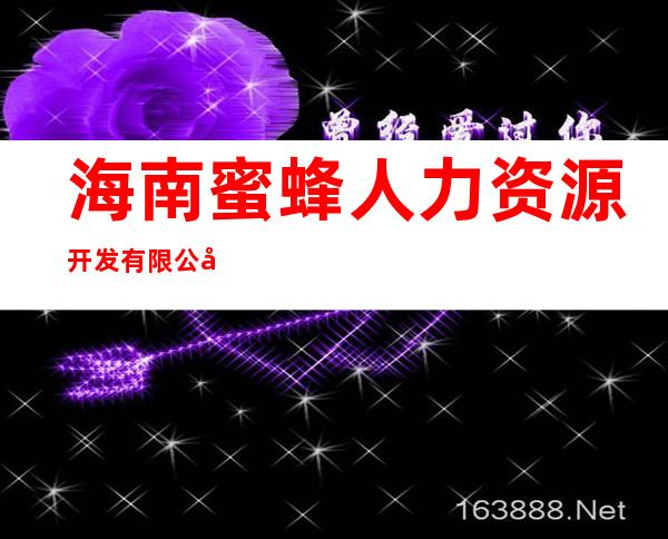 海南蜜蜂人力资源开发有限公司