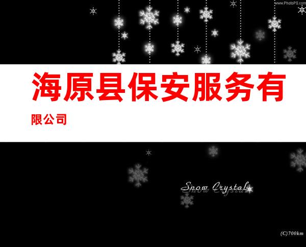 海原县保安服务有限公司