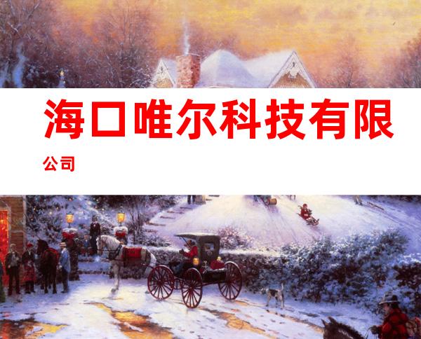 海口唯尔科技有限公司
