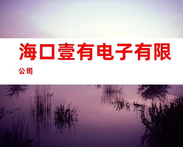 海口壹有电子有限公司