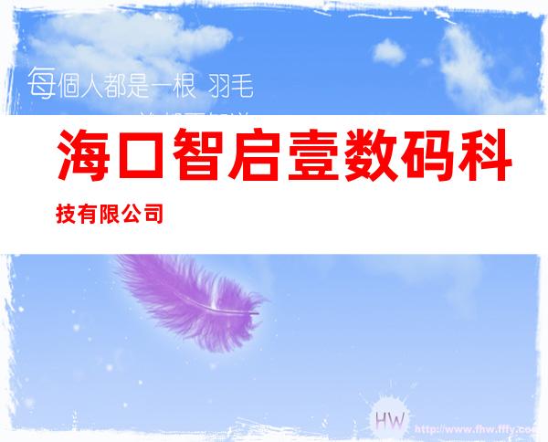 海口智启壹数码科技有限公司