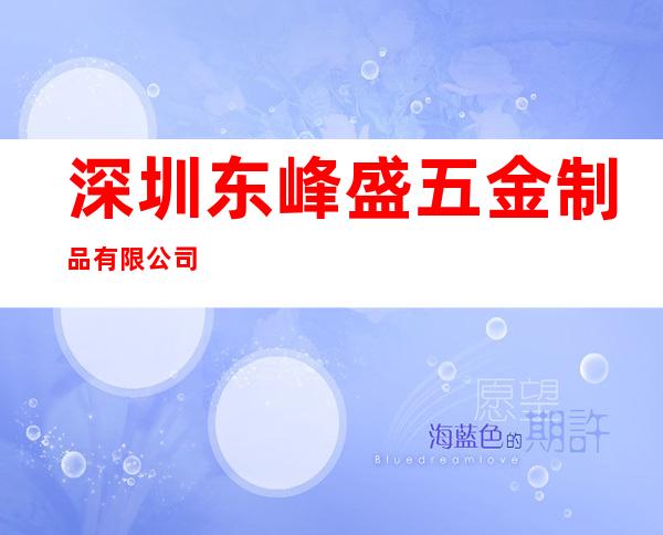 深圳东峰盛五金制品有限公司