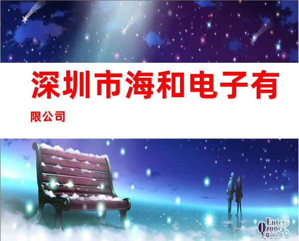 深圳市海和电子有限公司