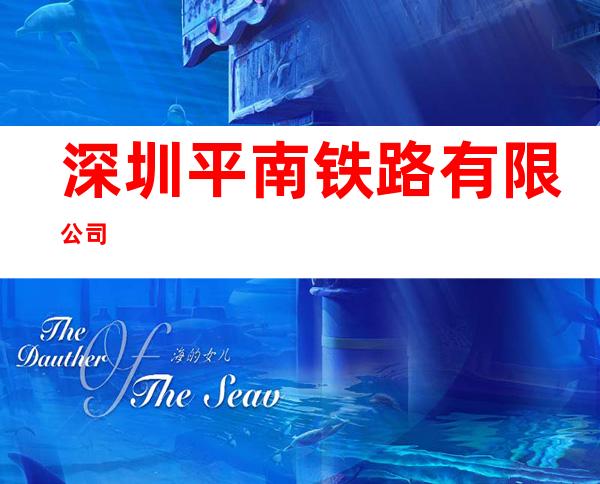 深圳平南铁路有限公司