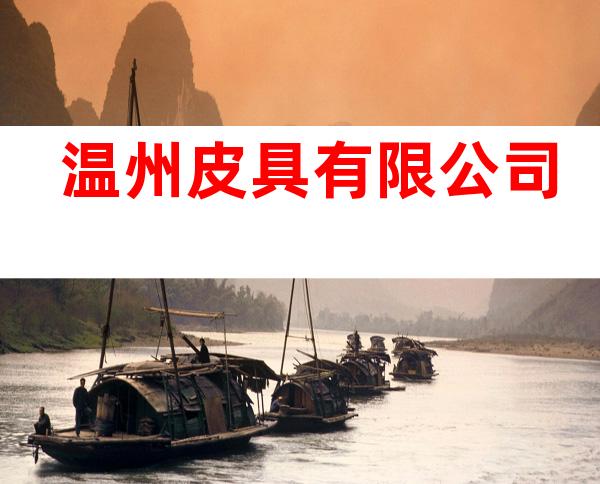 温州皮具有限公司