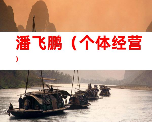潘飞鹏（个体经营）
