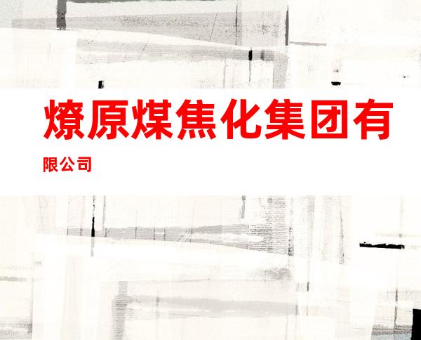燎原煤焦化集团有限公司