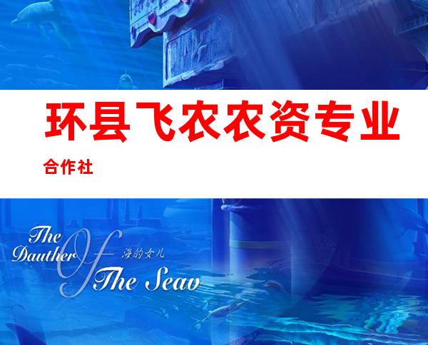 环县飞农农资专业合作社