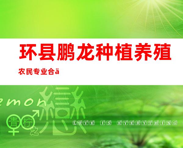 环县鹏龙种植养殖农民专业合作社
