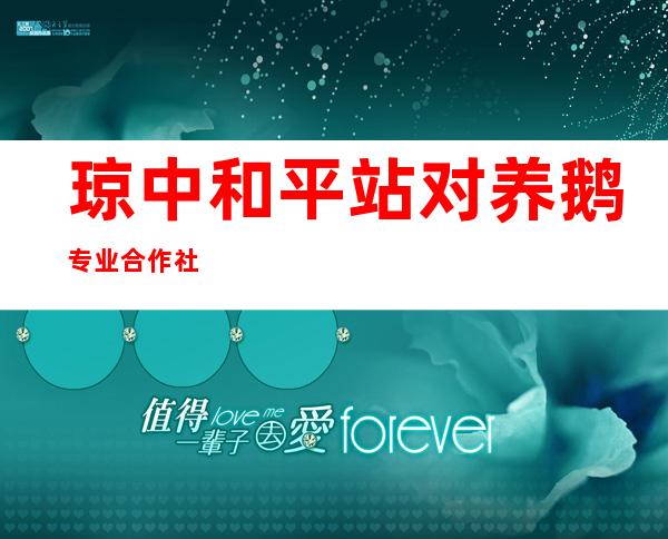 琼中和平站对养鹅专业合作社