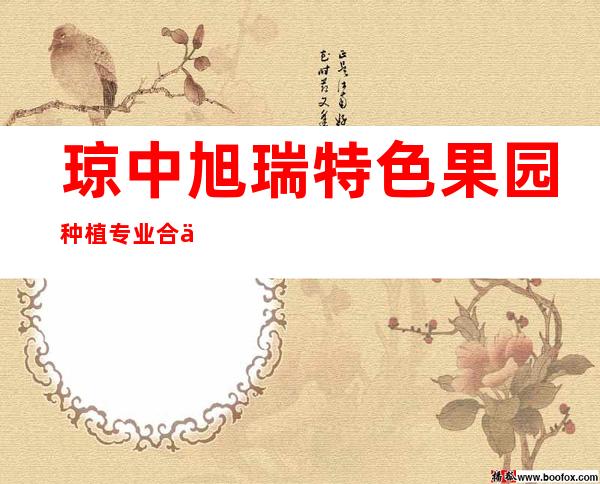琼中旭瑞特色果园种植专业合作社