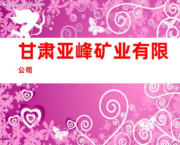 甘肃亚峰矿业有限公司