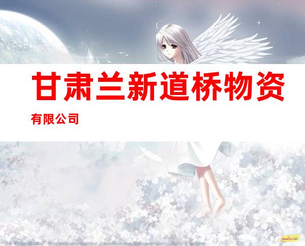 甘肃兰新道桥物资有限公司