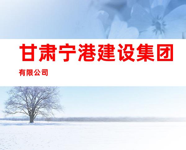 甘肃宁港建设集团有限公司