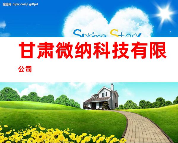 甘肃微纳科技有限公司
