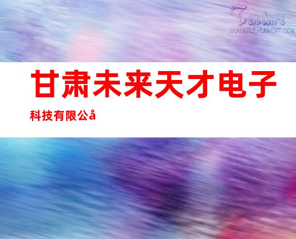 甘肃未来天才电子科技有限公司