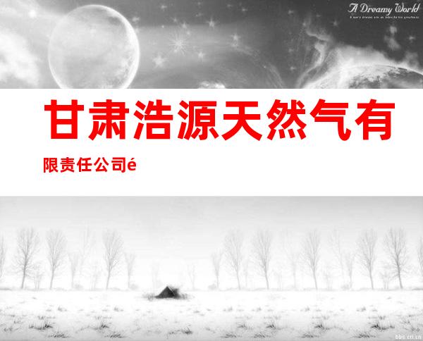 甘肃浩源天然气有限责任公司金昌常州路加气母站