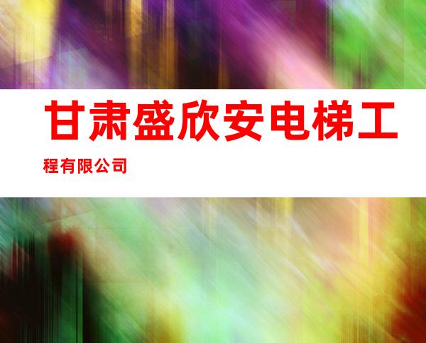甘肃盛欣安电梯工程有限公司