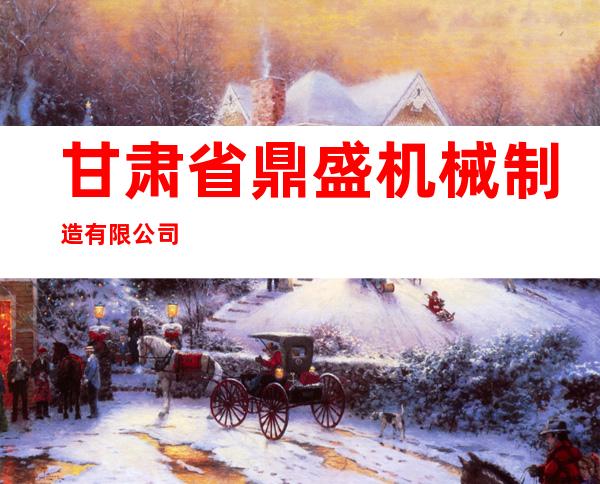 甘肃省鼎盛机械制造有限公司