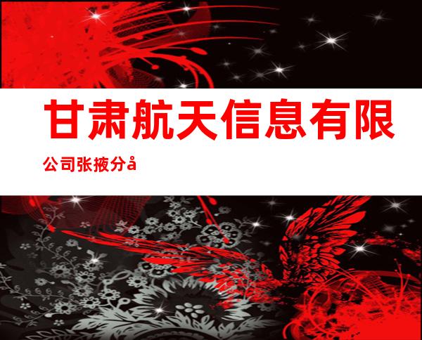 甘肃航天信息有限公司张掖分公司