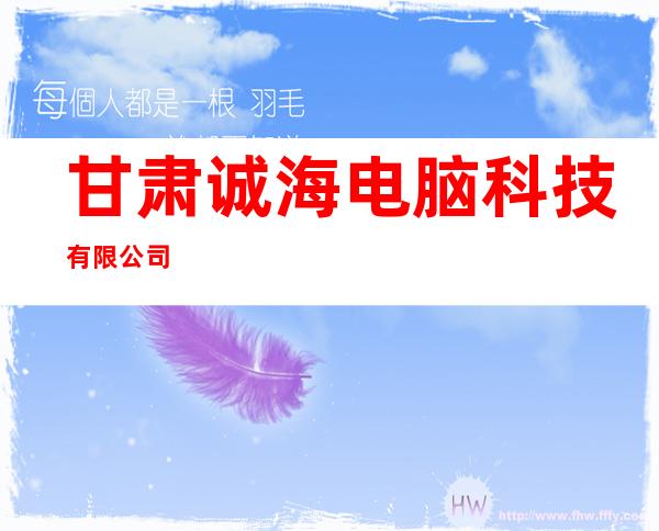 甘肃诚海电脑科技有限公司