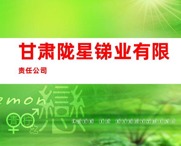 甘肃陇星锑业有限责任公司