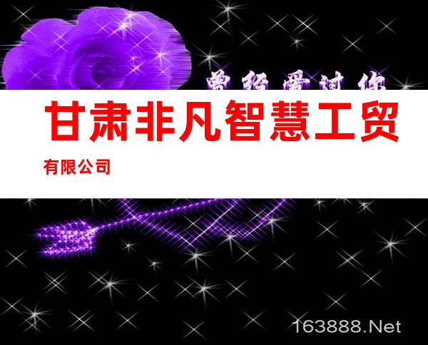 甘肃非凡智慧工贸有限公司