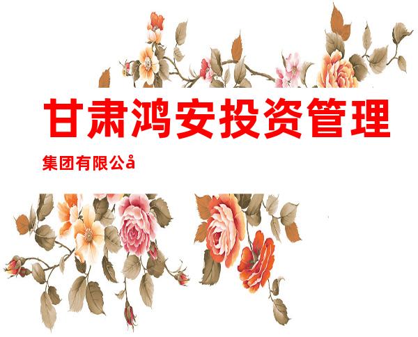 甘肃鸿安投资管理集团有限公司