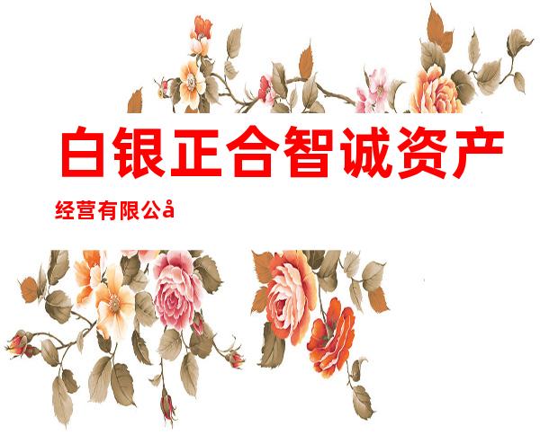 白银正合智诚资产经营有限公司