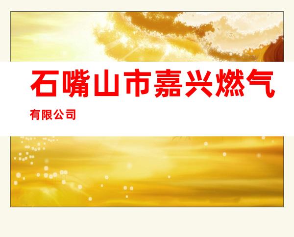 石嘴山市嘉兴燃气有限公司