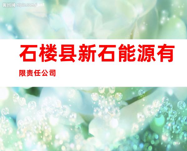 石楼县新石能源有限责任公司