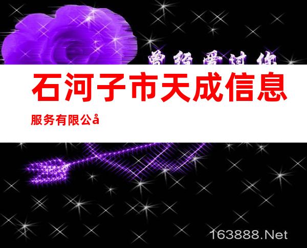 石河子市天成信息服务有限公司