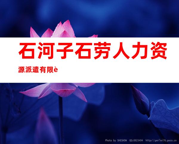 石河子石劳人力资源派遣有限责任公司