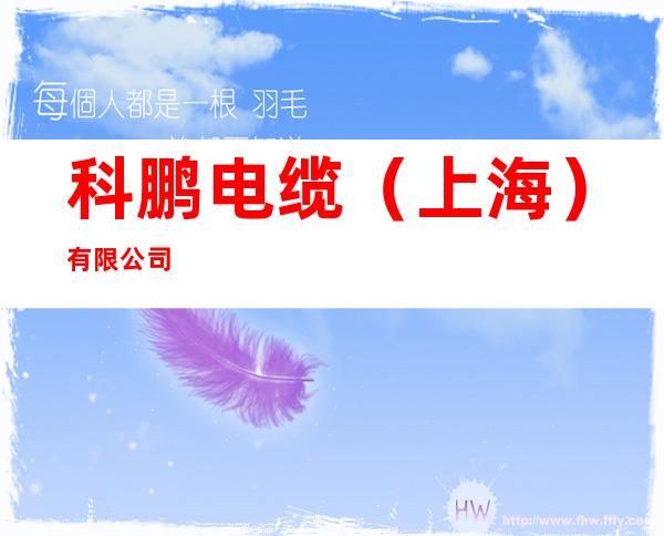 科鹏电缆（上海）有限公司