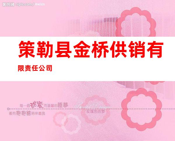 策勒县金桥供销有限责任公司