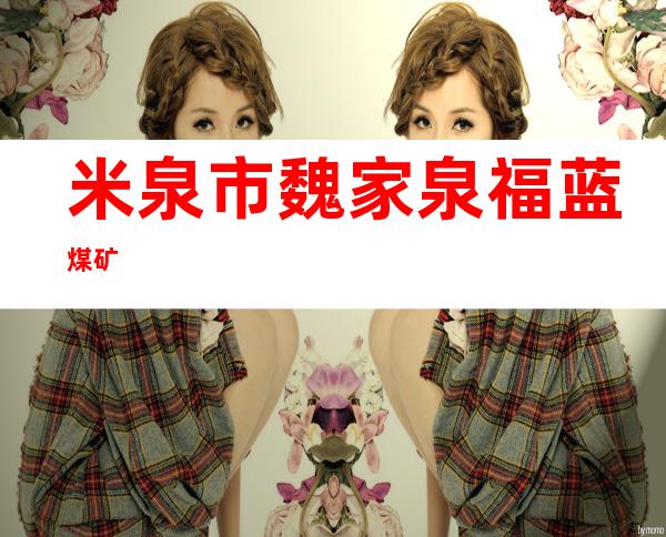 米泉市魏家泉福蓝煤矿